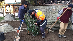 Dilovası'nda park bahçelerde bahar'a hazırlık