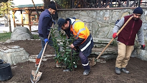 Dilovası’nda Park bahçelerde Bahar’a hazırlık