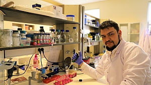 GTÜ yapay deri üretecek