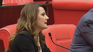 Hürriyet, “Kocaeli kansere teslim edildi”