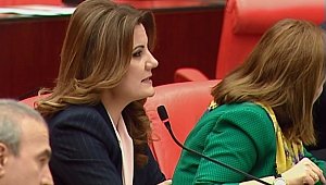 Hürriyet, polislerin hakkını mecliste savundu