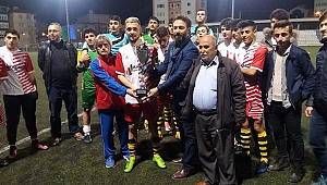 Kupa beyi Mollafenari