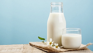 Lactalis'in bebek sütlerinde salmonella skandalı!