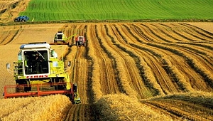 Tarıma 14.5 milyar TL’lik hibe verilecek