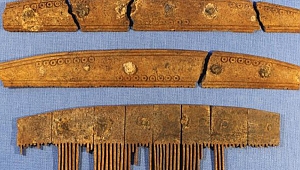 Vikingler'in tarihine ışık