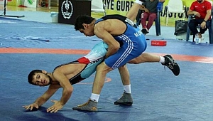 17 ülke, 550 sporcu