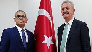 Dal; "Amacım koltuk değil, Gebze"