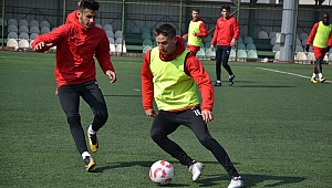 Ciddiyet ve disiplin