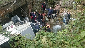 Kamyonet dereye uçtu