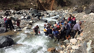 Kestikleri ağacın altında kaldılar