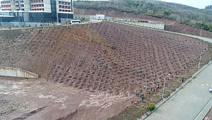 KOÜ’ye 20 bin fidan dikilecek