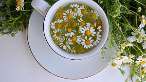 Papatya çayı ölüm riskini azaltıyor