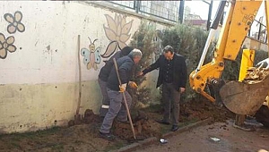 Şehitler için fidan dikildi