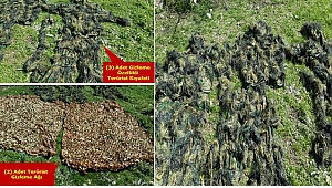 Teröristlere ait 26 hedef vuruldu