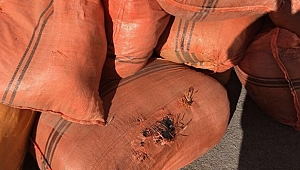 1 ton 280 kilo kaçak çay ele geçirildi