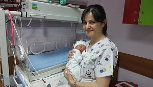 Ağacın altına bırakıldı!