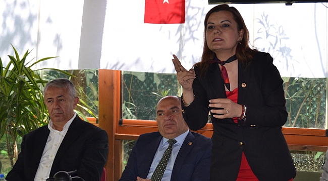 CHP'li vekil eleştiri sınırını aştı; 'Namussuzlar' dedi!