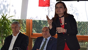 CHP'li vekil eleştiri sınırını aştı; 'Namussuzlar' dedi!