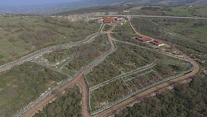 Hayvan Bakımevi'ne 5 bin fidan dikildi