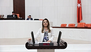 "Sağlık Bakanlığı kanser raporu bir an önce açıklanmalı"