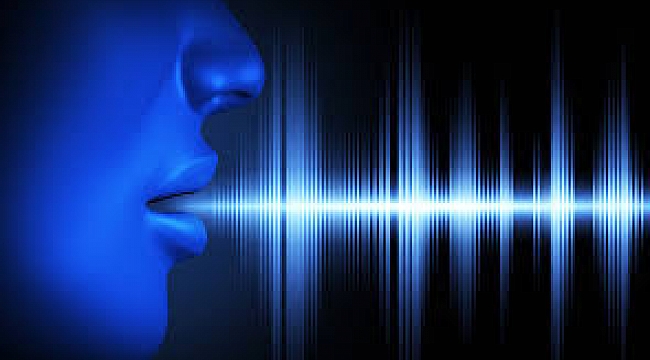 Speech Recognition nedir