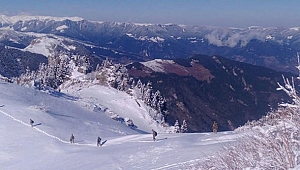 Trabzon'da PKK operasyonu başladı