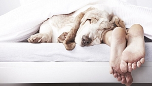 Uykuyla alakalı bilmediklerimiz