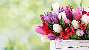 Anneler Günü'nün ortaya çıkışı