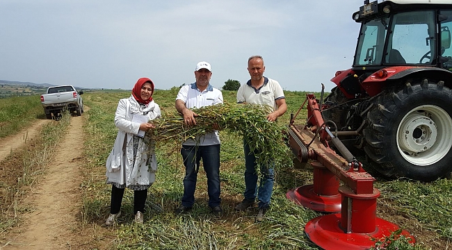 Büyükşehir’in tohum desteği ile verim arttı