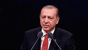 Erdoğan'dan İnce yorumu