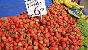 Tatlı yerine çilek tercih ediliyor