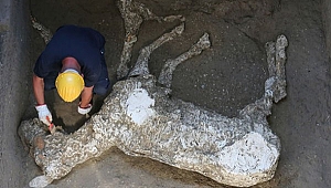 İtalya'da 2 bin yıllık at bulundu