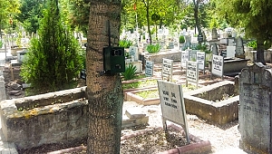 Mezarlıktaki gizemli kız yakalandı