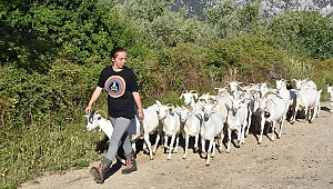 Nişantaşı kızı çoban oldu