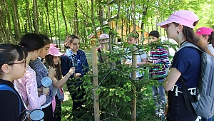 Orman kaşifleri tabiatı okudu