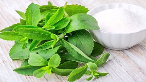 Stevia nedir?
