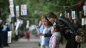 Vatandaş ağaçlardan kitap topladı