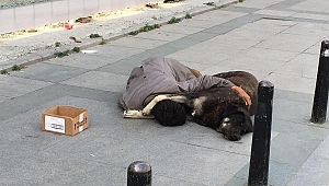 Yürek burkan görüntü