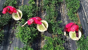 '600 bin kişi tatil için yollarda olacak'