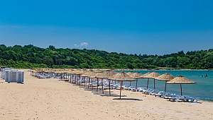 Akdeniz sahilleri değil Kocaeli plajları