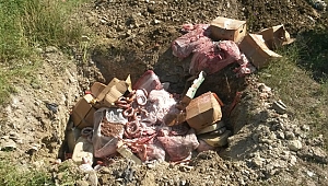 Dilovası'nda kaçak et operasyonu