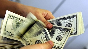 Dolardaki dalgalanma ne kadar sürecek?