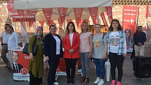 Elmas, "MHP bu ülkenin sigortası"