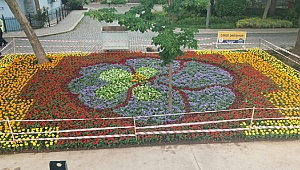 Eskihisar rengarenk çiçeklerle donatıldı