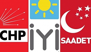 Parlamenter Sistem çatlağı