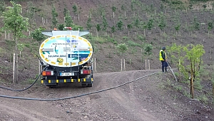 Ağaçlar sulama çalışmasıyla büyüyor