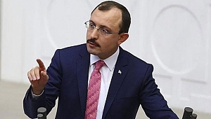 Bedellinin yol haritası