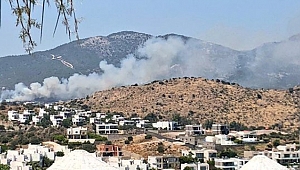 Bodrum'da yangın