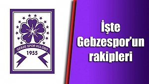 Bundan iyisi Şam'da kayısı