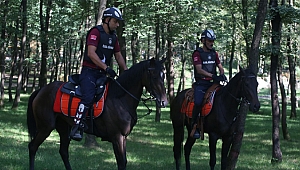 Büyükşehir atlı güvenlik, iş başında